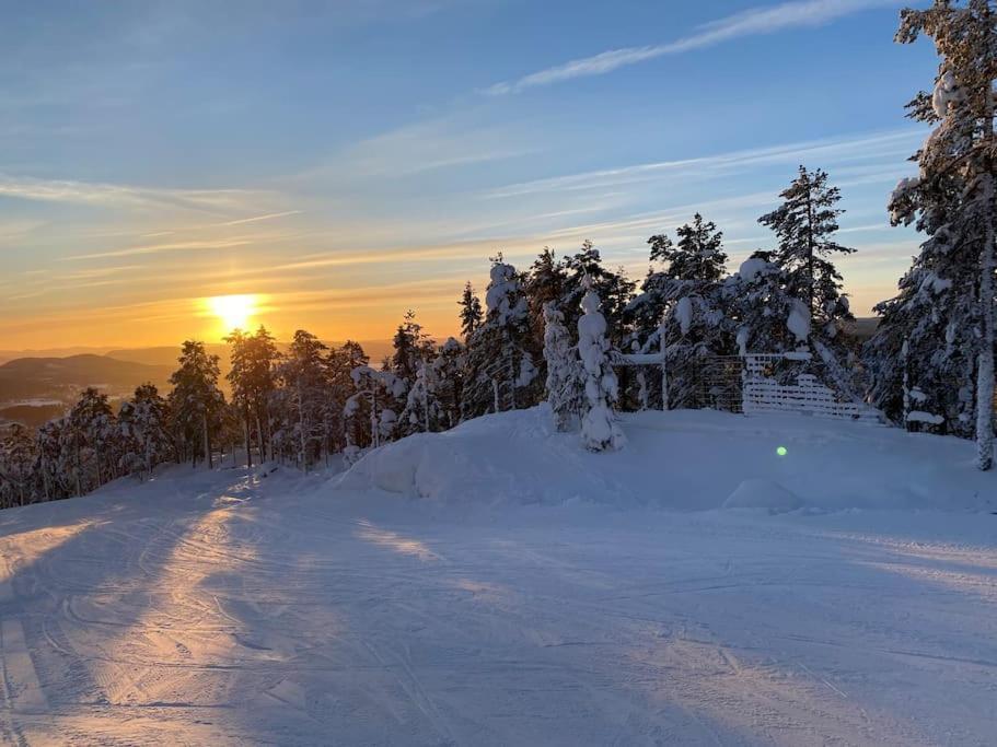 Modern Stuga Med Ski Lodge Kaensla Jarvso Luaran gambar