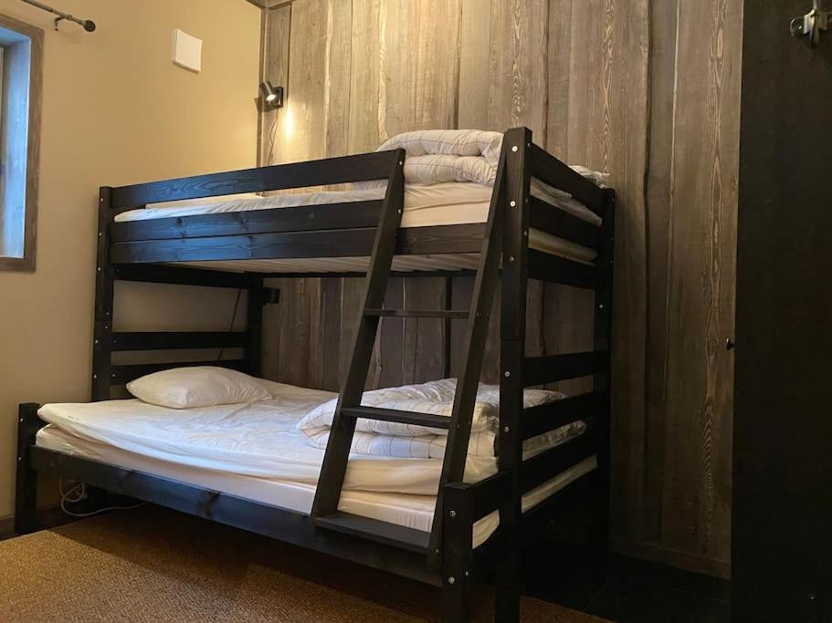 Modern Stuga Med Ski Lodge Kaensla Jarvso Luaran gambar